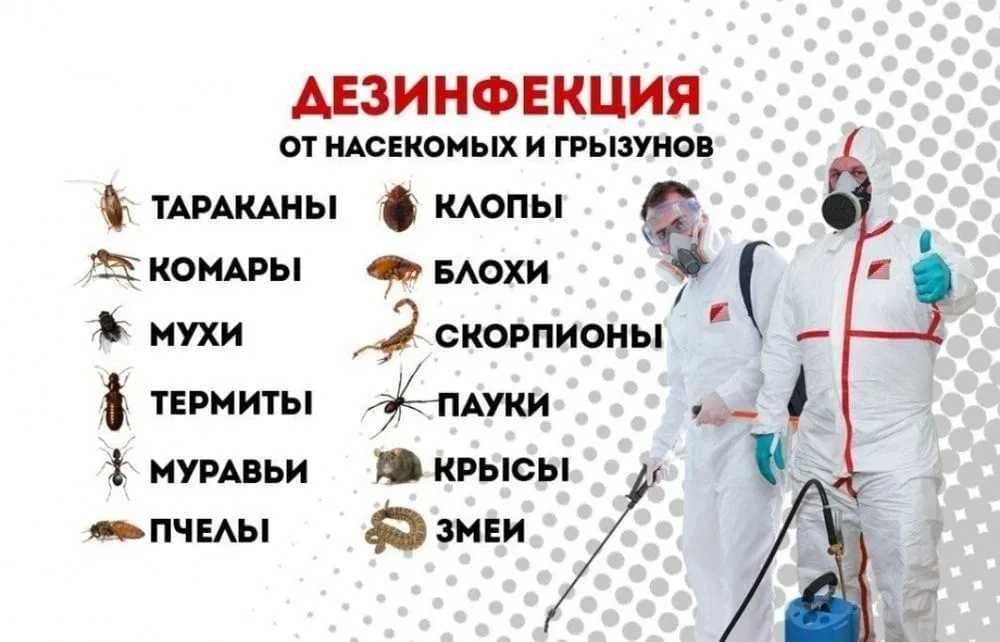 Dizinfeksiya xizmati sifatli va toza bajariladi — 1