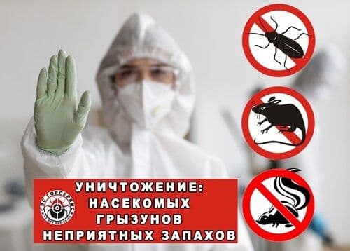 Dizinfeksiya xizmati sifatli va toza bajariladi — 2