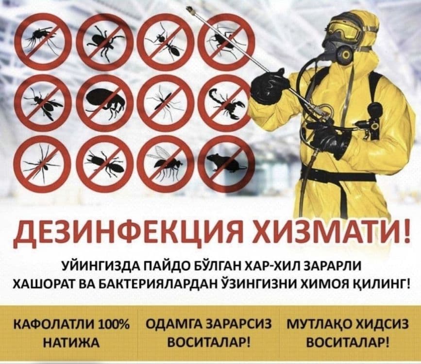 Dezinfeksiya.Dezinseksiya / Дезинфексия / dizinfeksiya xizmatlari — 3