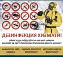 Dzenfeksiya xizmati