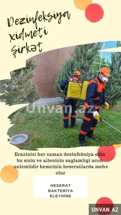 Dizinfeksiya xizmati toza va sifatli bajaramiz — 4
