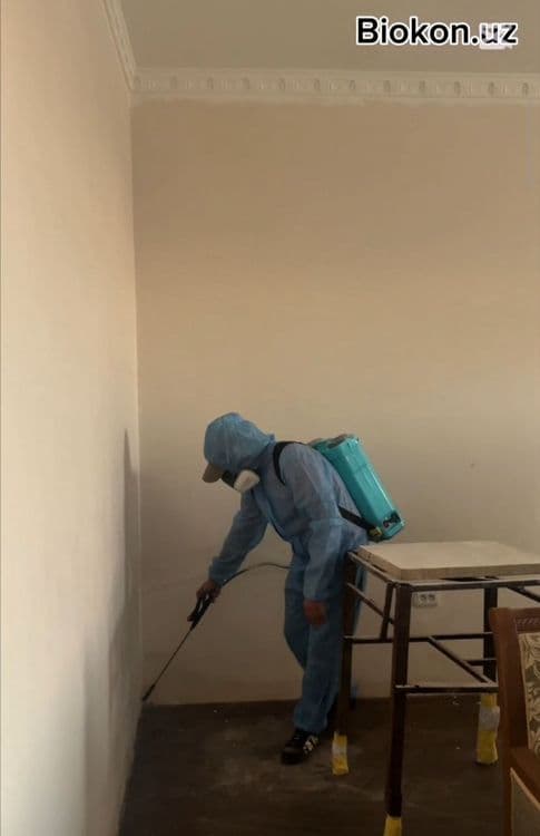 Dezenfeksiya xizmati Biokon.uz ishonchli samarali yechim — 1