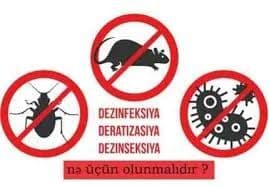 Dizinfeksiya xizmati toza va sifatli — 1