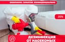 Dizinfeksiya klapa chumoli tarakan дезинфекция дезинсекция dezinfeksiy