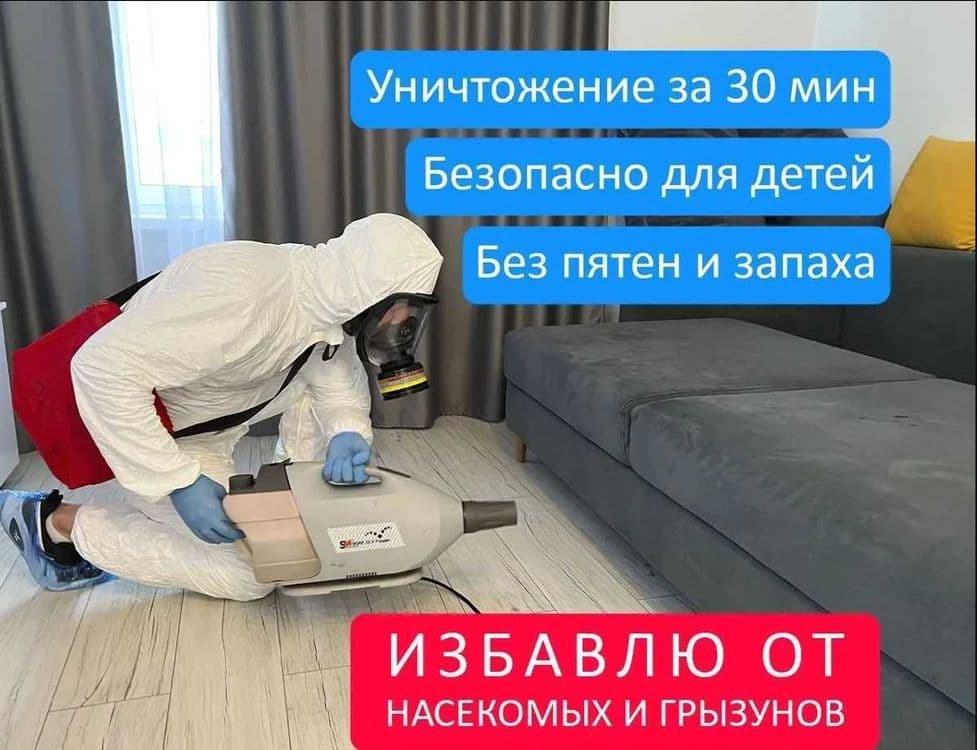 Dizinfeksiya klapa chumoli tarakan дезинфекция дезинсекция dezinfeksiy — 1