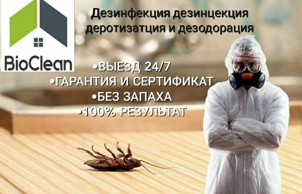 Дезинфекция 24/7 — 1