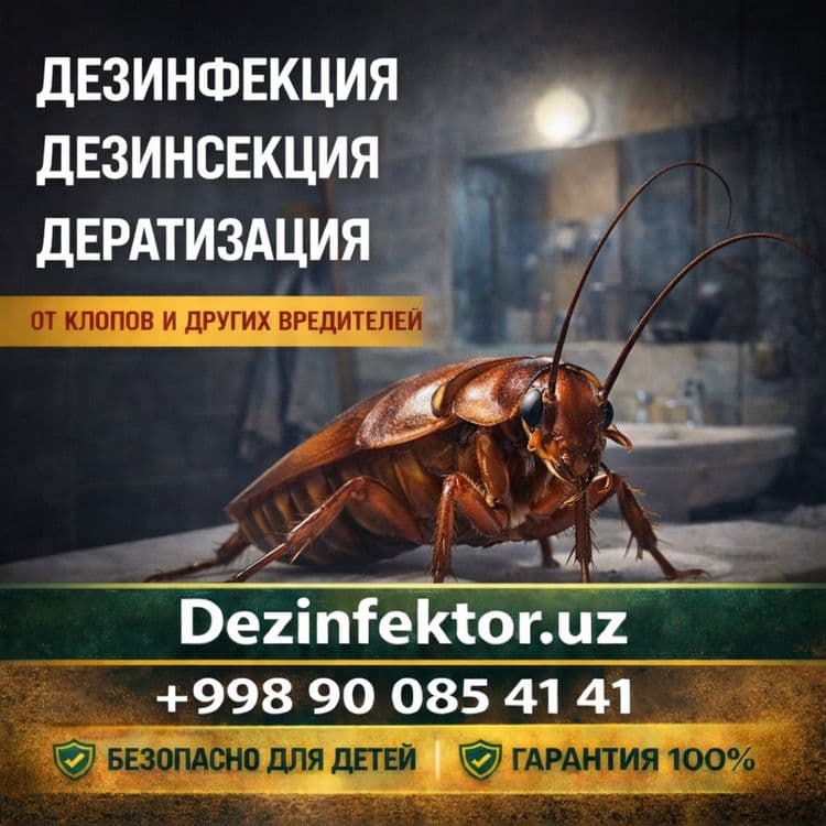 Дезинфекция, уничтожения клопов, тараканы.Dezinfeksiya xizmati — 1
