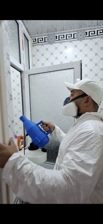 Dezinfeksiya — Klop Tarakan Chivin yo‘qotamiz Litsenziya Bor — 2