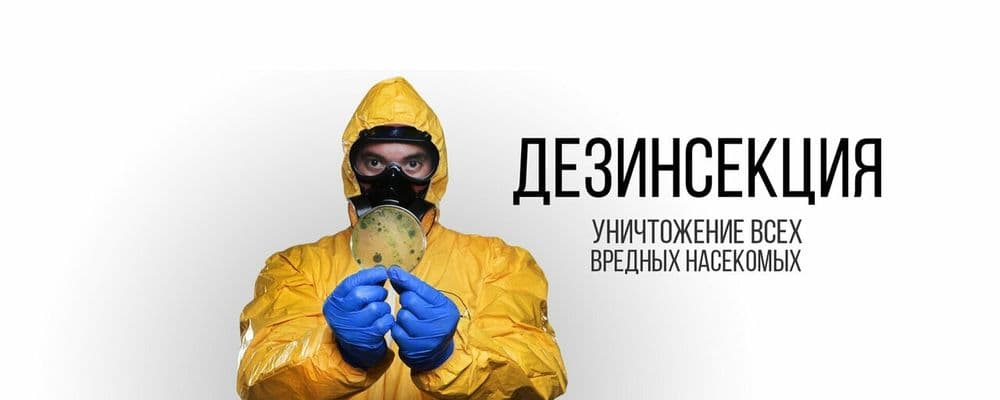 Dezinfeksiya — Klop Tarakan Chivin yo‘qotamiz Litsenziya Bor — 7