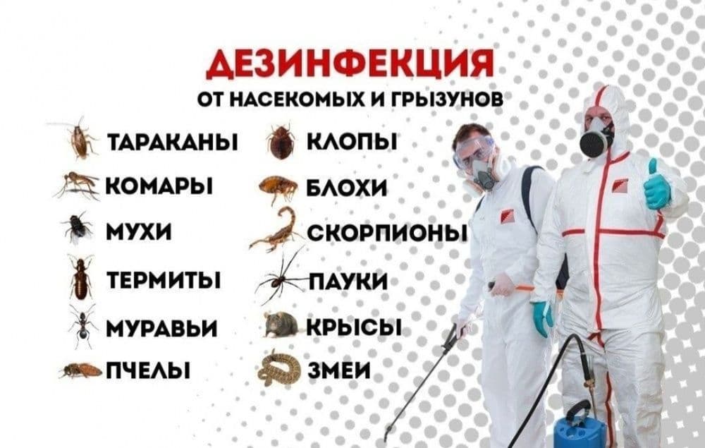Дезинфекция 24/7 — 6