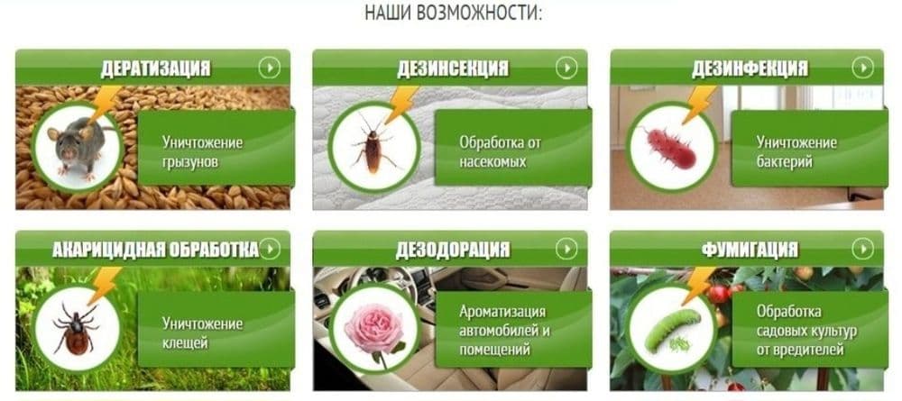 Дезинфекция 24/7 — 7