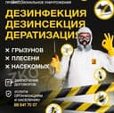 Дезинфексия 24/7
