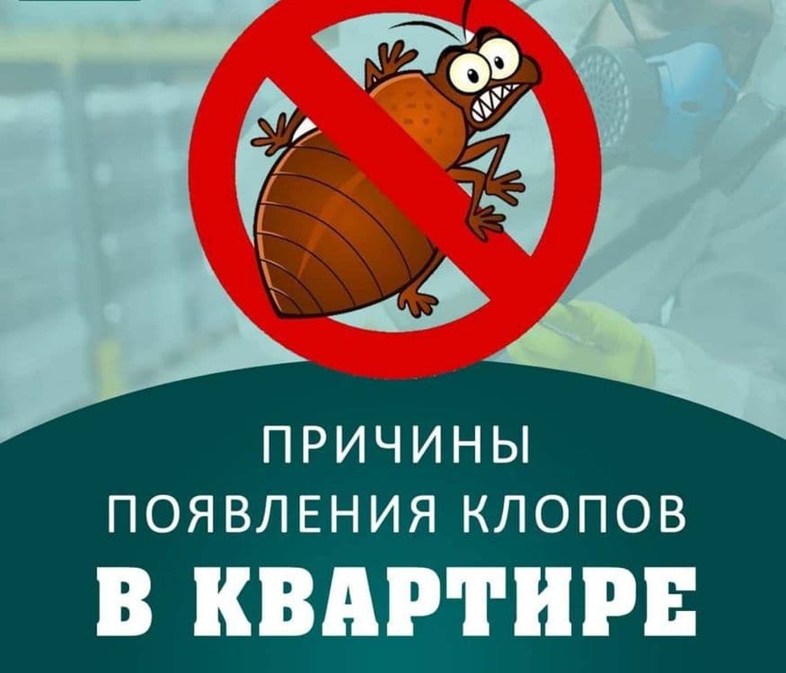 Dezinfeksiya Дезинфекция dizinfeksiya xizmati — 1