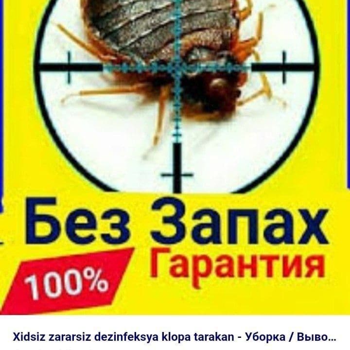 Dezinfeksiya Дезинфекция dizinfeksiya xizmati — 4