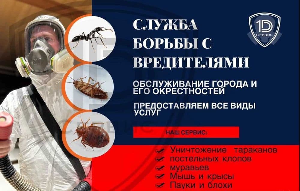 Dizinfeksiya klapa chumoli tarakan дезинфекция дезинсекция dezinfeksiy — 1