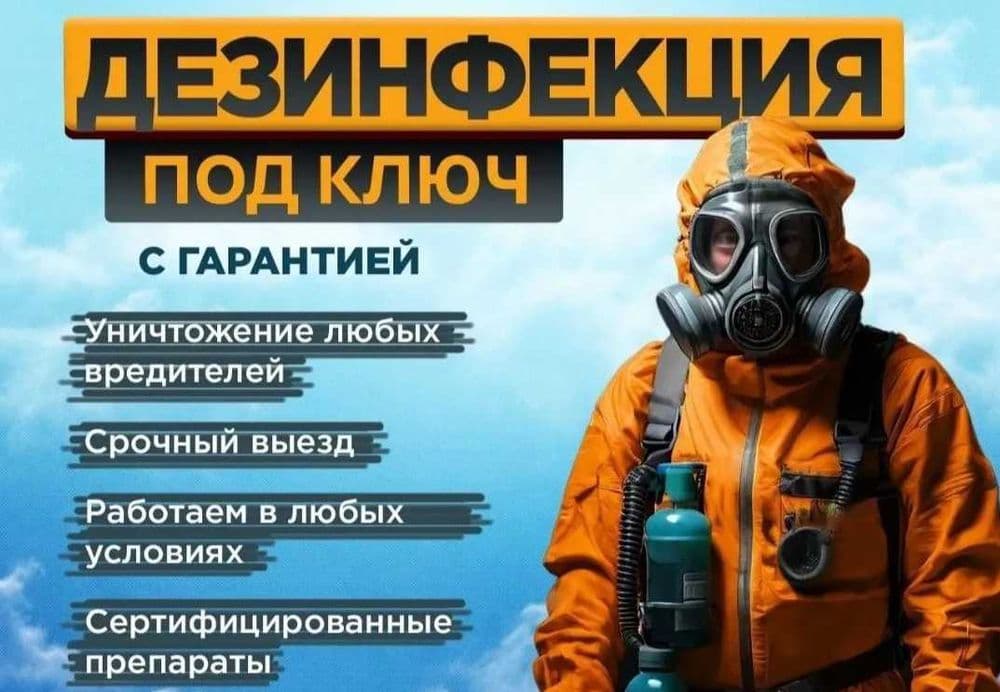 Дезинфекция насекомых клоп klop klapa Dezinfeksiya dezenfeksiya запах — 1