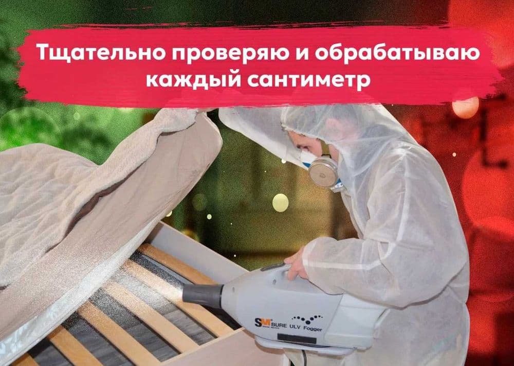 Чивин пашша илон кана клоп клапа чимоли ари сичкон каламуш Дезинфекция — 2