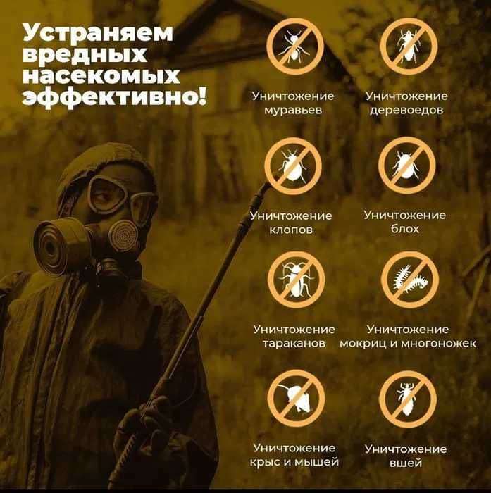 Дезинфекция насекомых клоп klop klapa Dezinfeksiya dezenfeksiya запах — 1