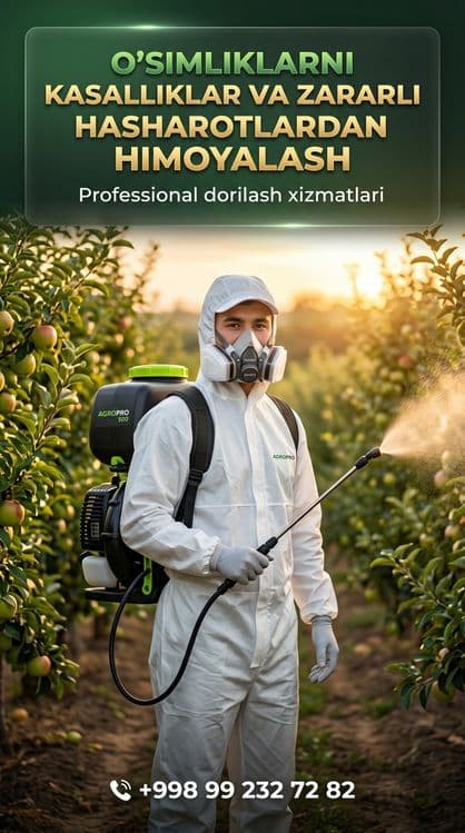 Dori sepish xizmati. — 2