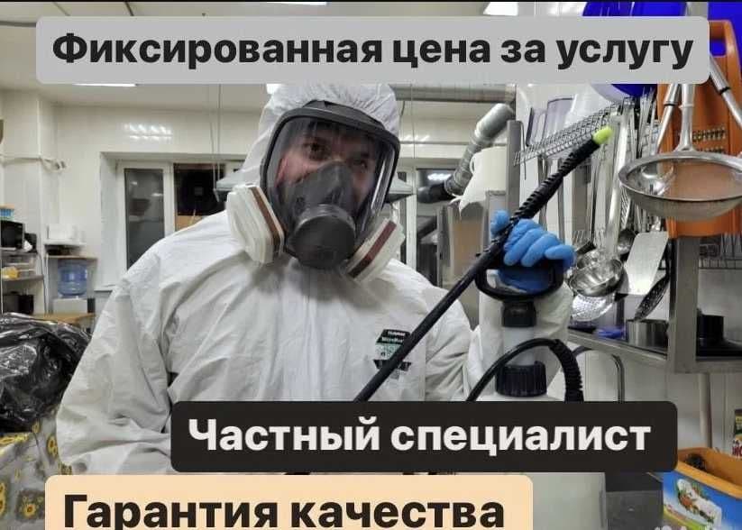 Дезинфекция насекомых клоп klop klapa Dezinfeksiya dezenfeksiya запах — 1