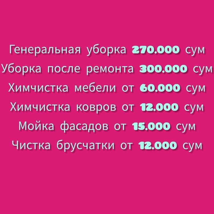 Fasad yuvish. Bruschatka tozalash. Mebel va gilam himchistkasi. — 2