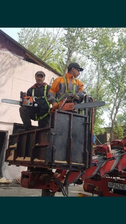 Дарахт кесиш хизмати aбрезка дерево бензaпила услуга. — 2