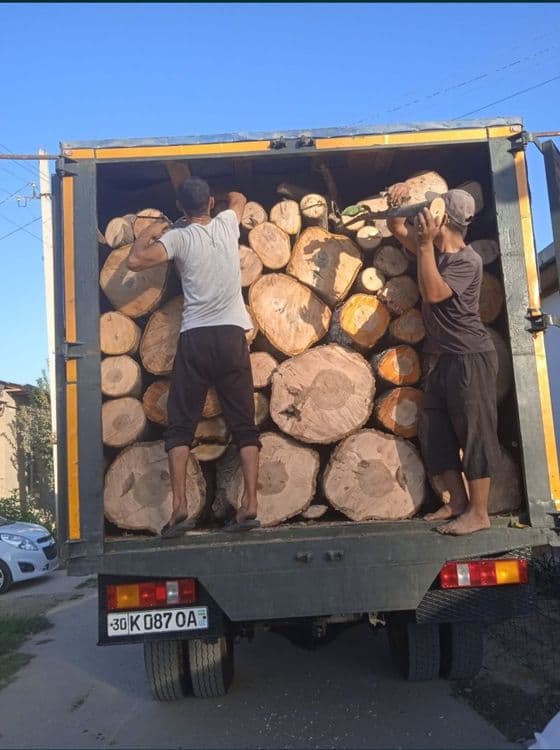 Дарахт кесиш хизмати aбрезка дерево бензaпила услуга. — 7