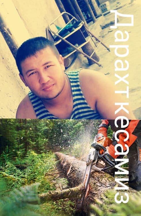 Daraxt kesish дарахт кесиш бензапела услугя — 5