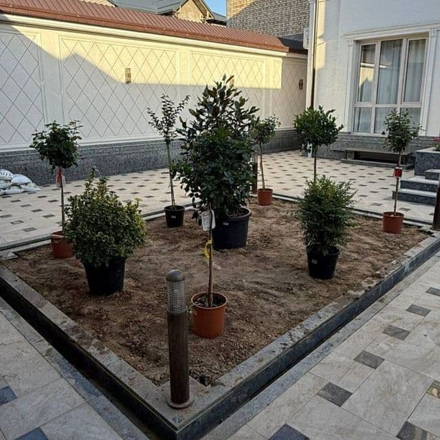 Sadovnik Gul gazon lanshaf dizzayin qilish archa kesish — 5