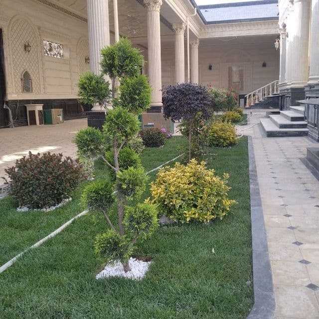 Sadovnik Gul gazon lanshaf dizzayin qilish archa kesish — 7