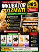 Inkubator Xizmati