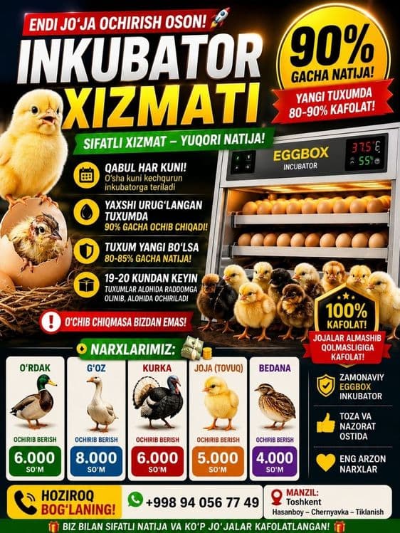 Inkubator Xizmati — 1