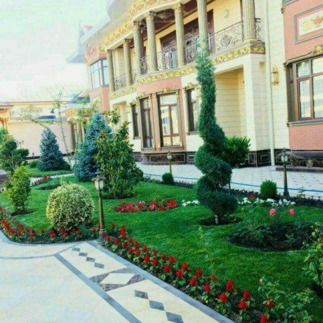 Sadovnik Gazon archa va gullar ekish xizmati va archa kesish — 5
