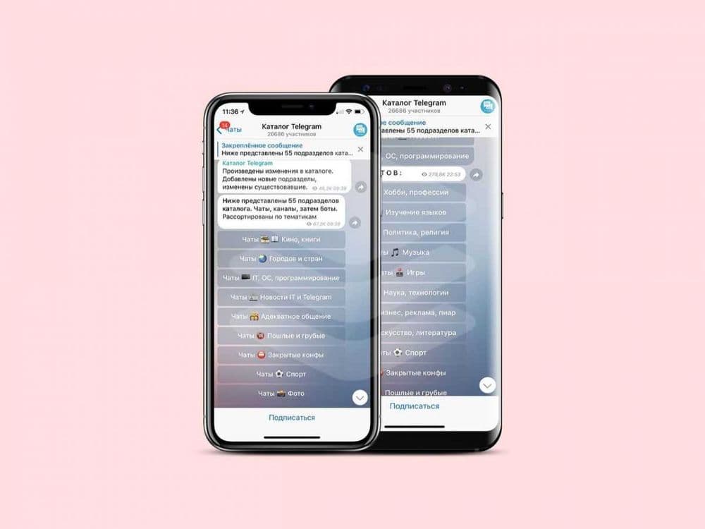 Web Sayt | Telegram Bot | Mobil Ilova — 1