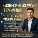 Professional IT Yechimlar: Web-saytlar, Mobil Ilovalar va Botlar