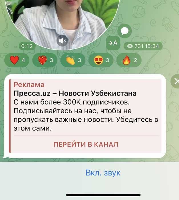 Telegram Ads / Реклама в Телеграм / Telegram Reklama — 3