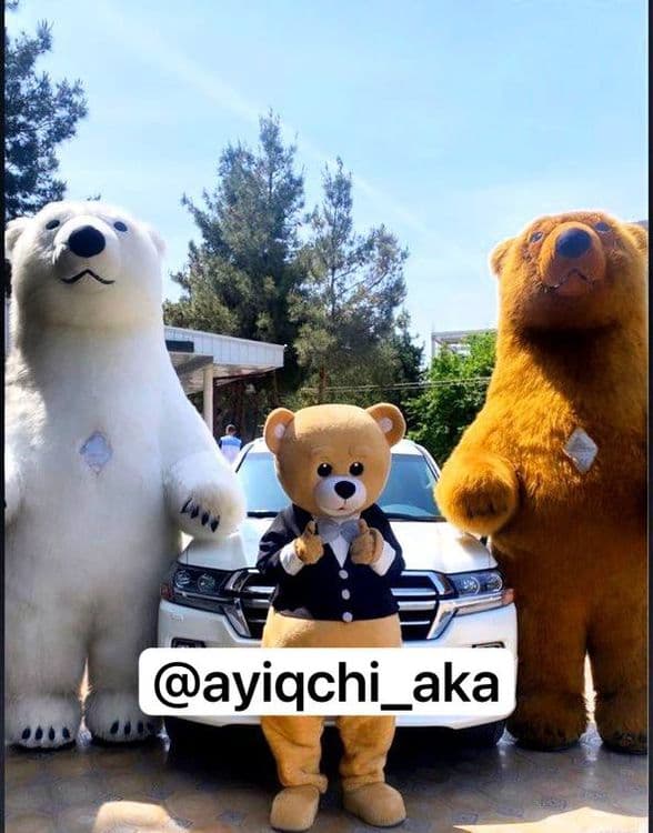 Buxoro Ayiqlari eng katta tanlov bizda — 7