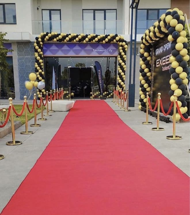 Afarmileniya decor shar animatir ayiqlar — 7