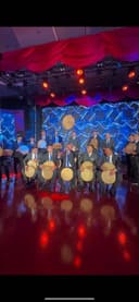 Профессиональная группа дойристов