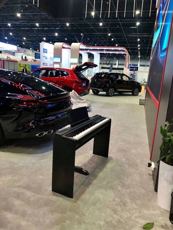 Музыкант пианист, живая фортепианная музыка vip класса. — 4