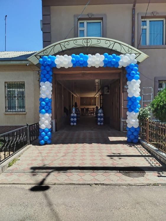 afarmileniya-350 — 2