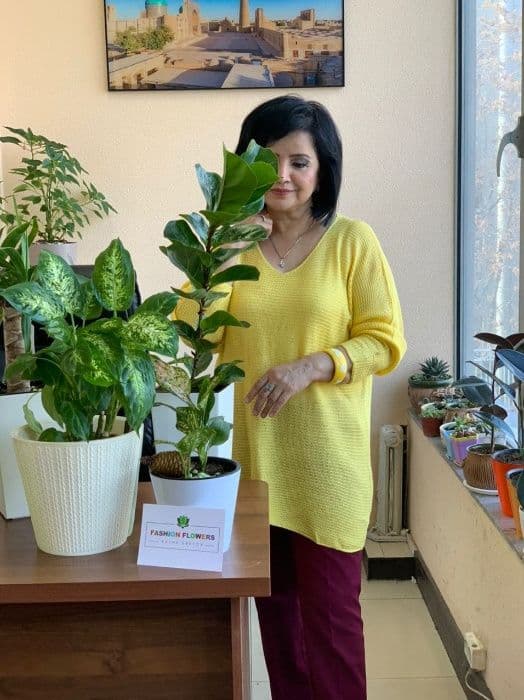 Переводы на тему искусства — 8