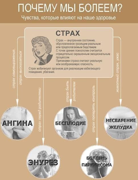 Психосоматолог. Консультант по проблемам с телом и душой — 2