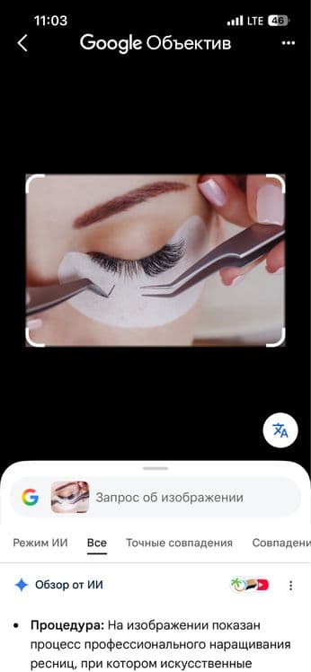 Kiprik ekish xizmati. Lashmaker