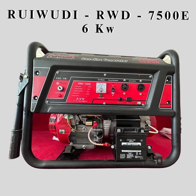 Generator Генератор движок dvijok RWD-7500E 6 kw — 5