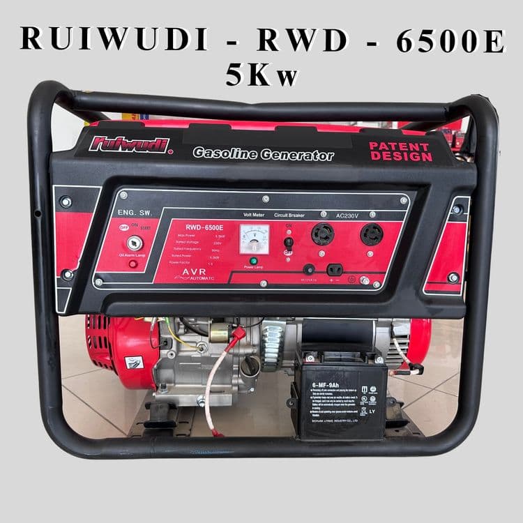 RUIWUDI Generatorlar 5 Kwt, dvijok генератор движок RWD-6500E — 2