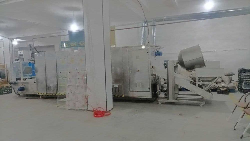 Продается производственная  линия для жарки и упаковки семечек и др — 2