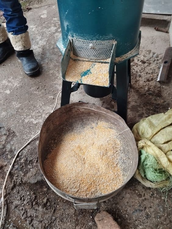 Qoy sigr buqa va boshqa hayvonlar uchun  drabilka — 2