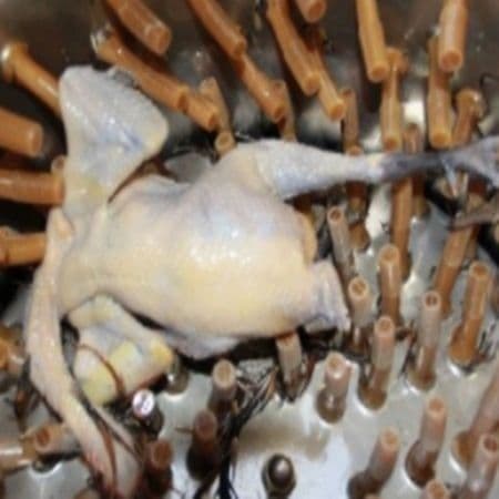 Tovuq pat.ini yulgich baraban tavuq patlari.ni tozalaydigan apparat — 4