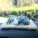 Игрушка котёнок на подушке – мягкая, в авто, для декора